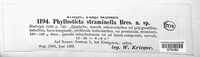 Phyllosticta straminella image